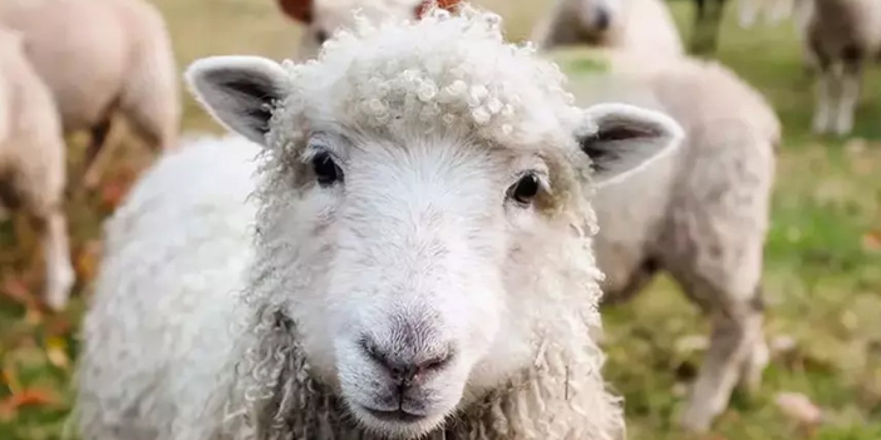 Böyle hırsızlık görülmedi: 3 kişi tutuklandı