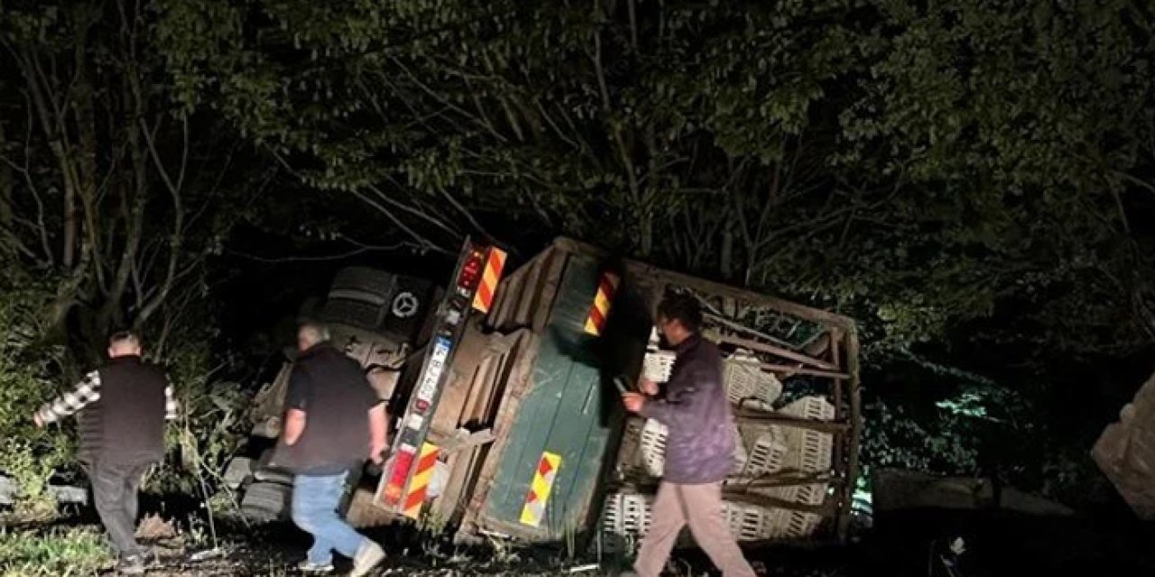 Tavuk yüklü kamyon uçuruma devrildi: Yüzlerce tavuk telef oldu