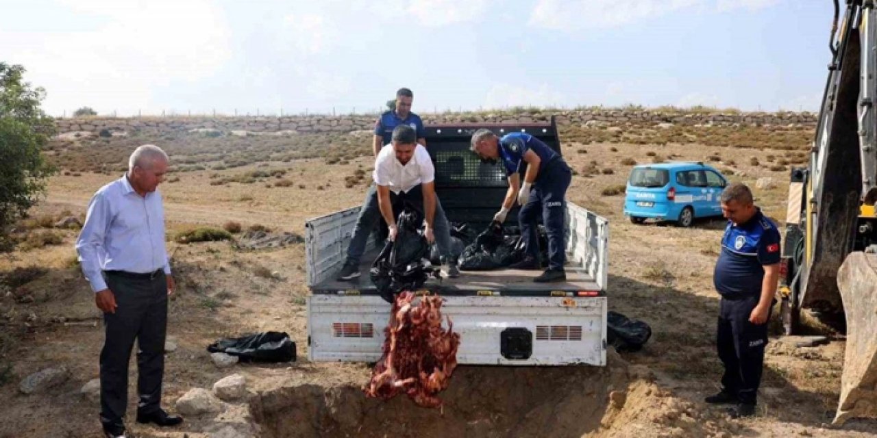 Mersin'de et oyunu: Yarım ton imha edildi!