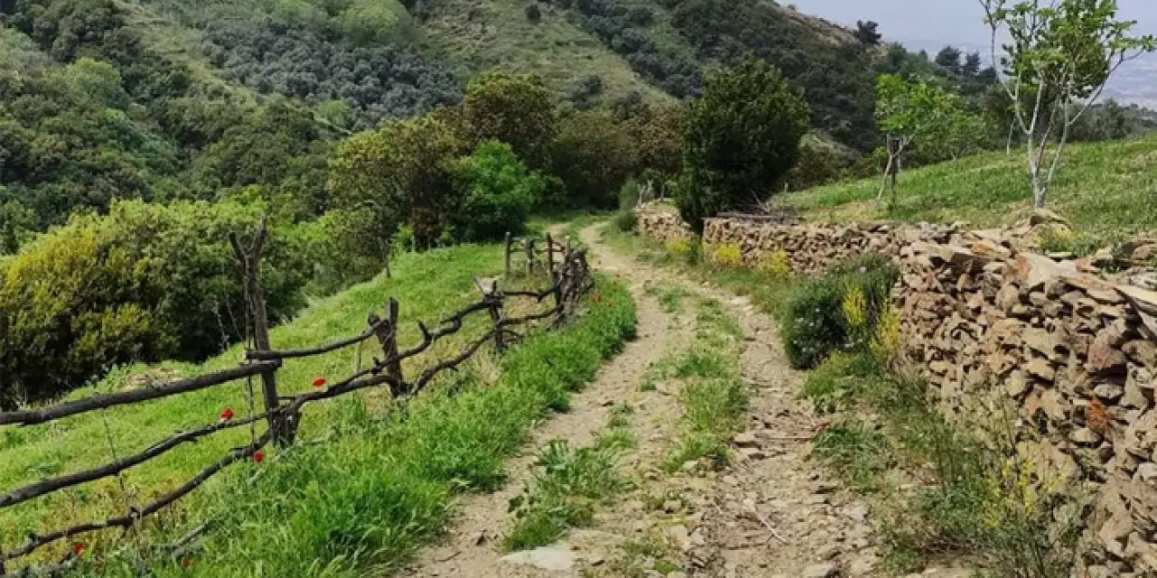 İzmir'in en uzun yürüyüş yolu: Yolculuk 1 ay sürüyor