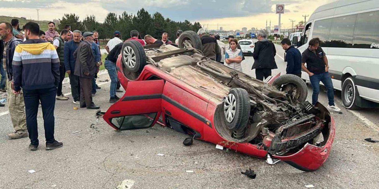 Trafikte başıboş köpek sorunu: 3 bin 476 kazaya sebep oldular