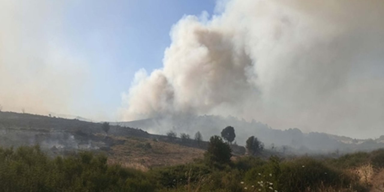 İzmir'de yangın başladı: Araziye sıçradı