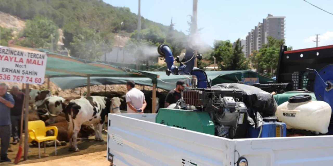 Bayraklı'da Kurban Bayramı telaşı: Satış yerinde hazırlıklar tamam