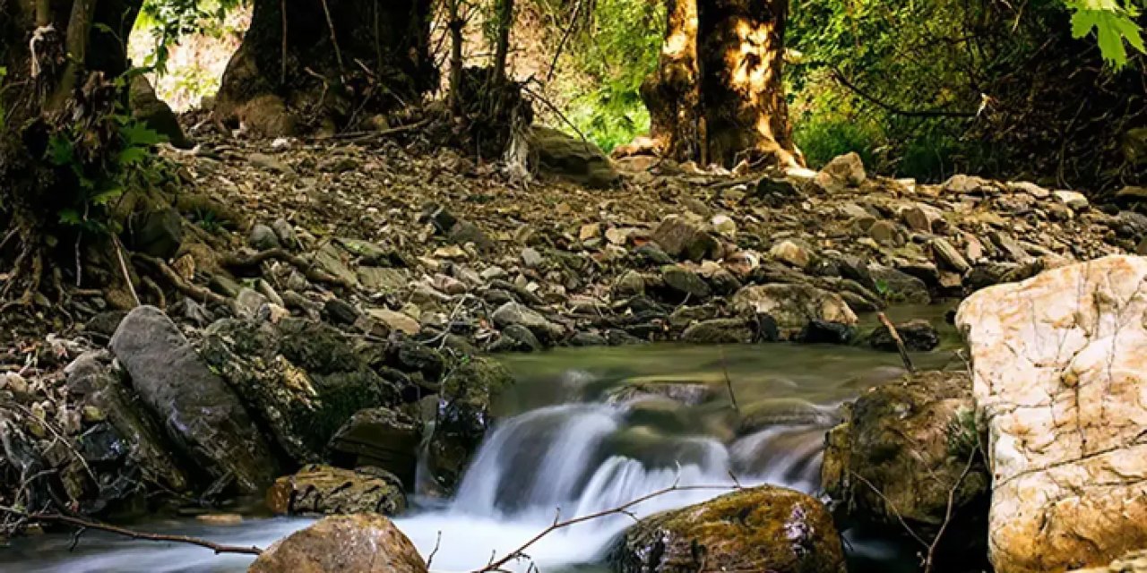 İzmir'in kirazı ile ünlü ilçesi: Doğası huzur veriyor