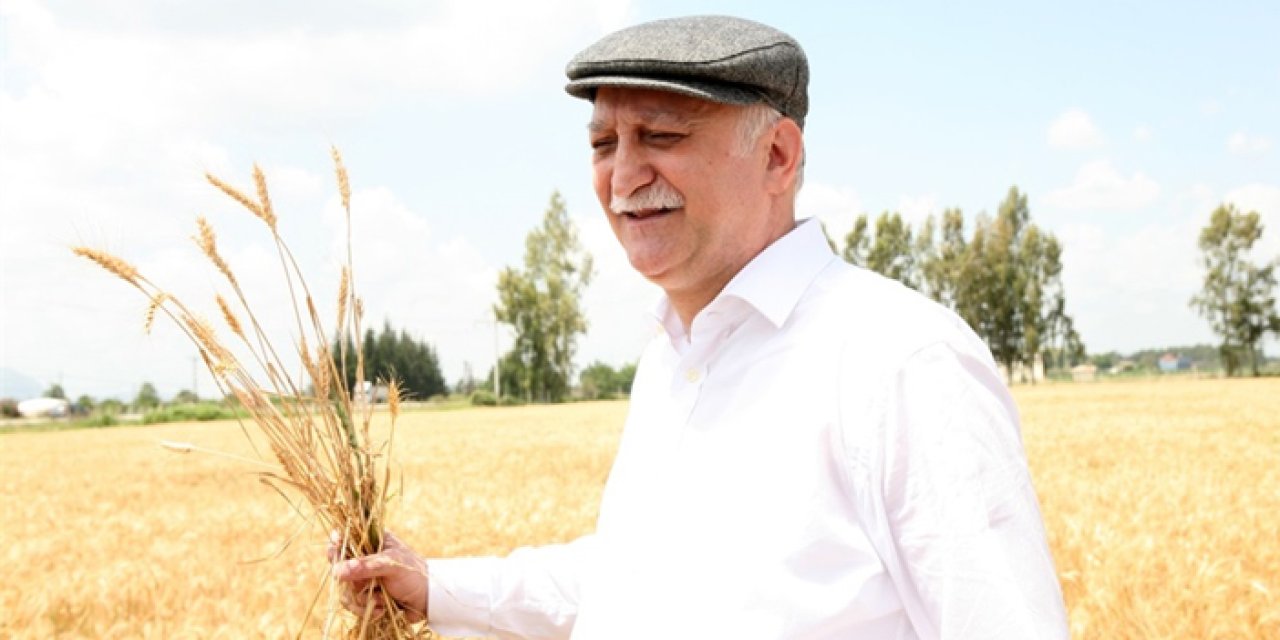 TZOB Genel Başkanı Şemsi Bayraktar: “Buğday fiyatları acilen revize edilmelidir”