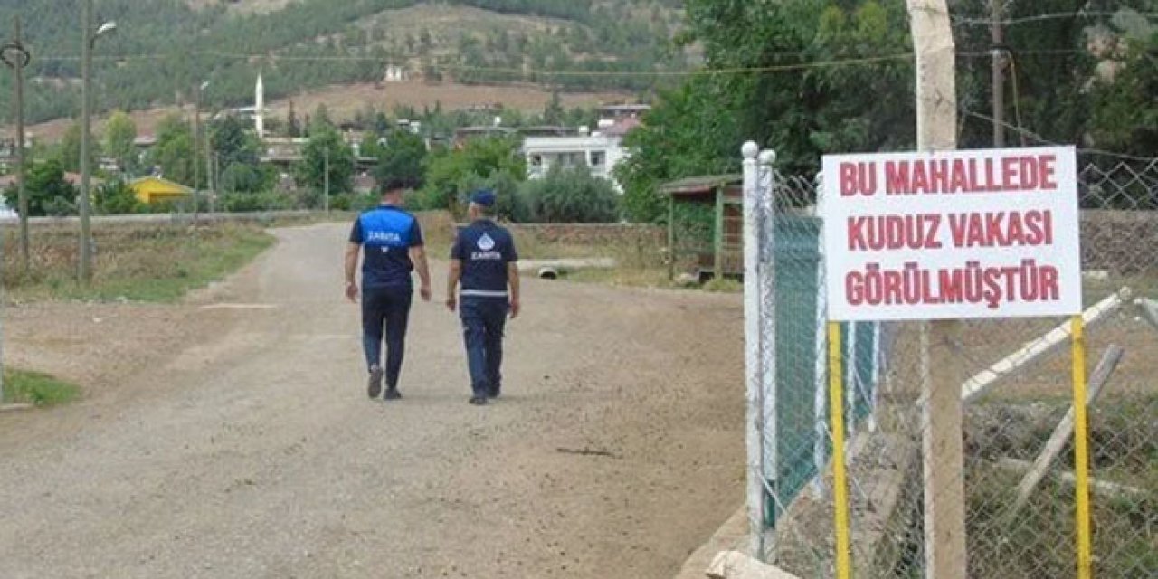 Kuduz paniği: 13 bin nüfuslu mahalle karantinada