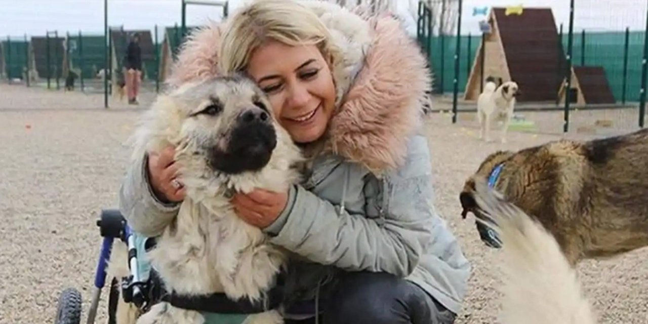 O kadın tutuklandı: Kuduz köpekleri Ankara'ya getirmişti