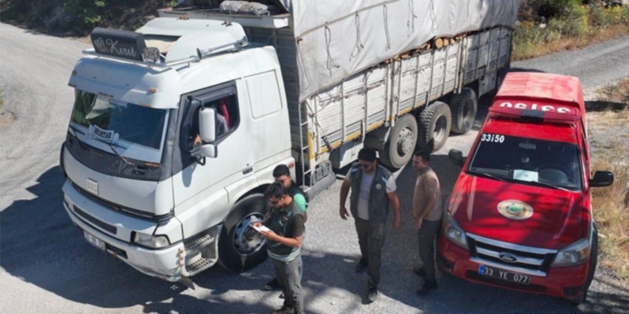 Mersin'de orman kaçakçılığına yönelik denetim yapıldı