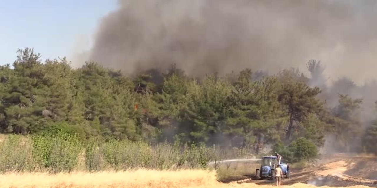 Çanakkale'de yangın: Bir köy tamamen boşaltıldı