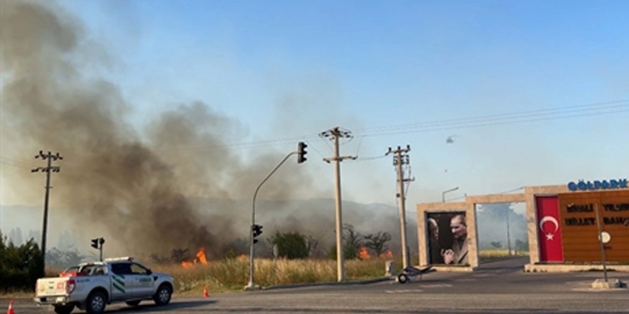 İzmir'de zeytinlik alanda yangın çıktı