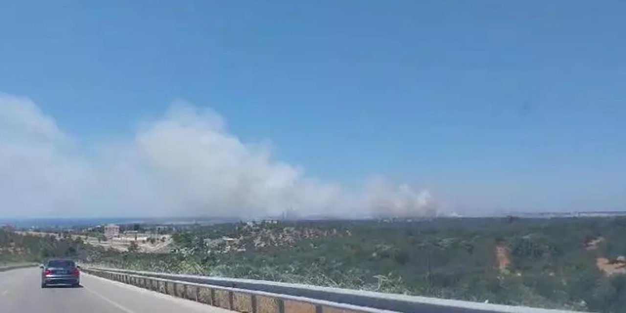 Çanakkale'de orman yangını çıktı!