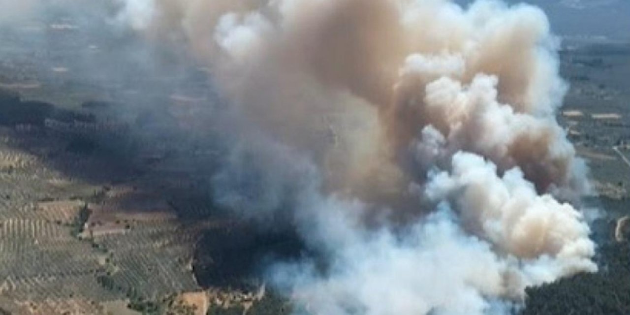 Manisa Salihli'de çıkan orman yangını kontrol altına alındı