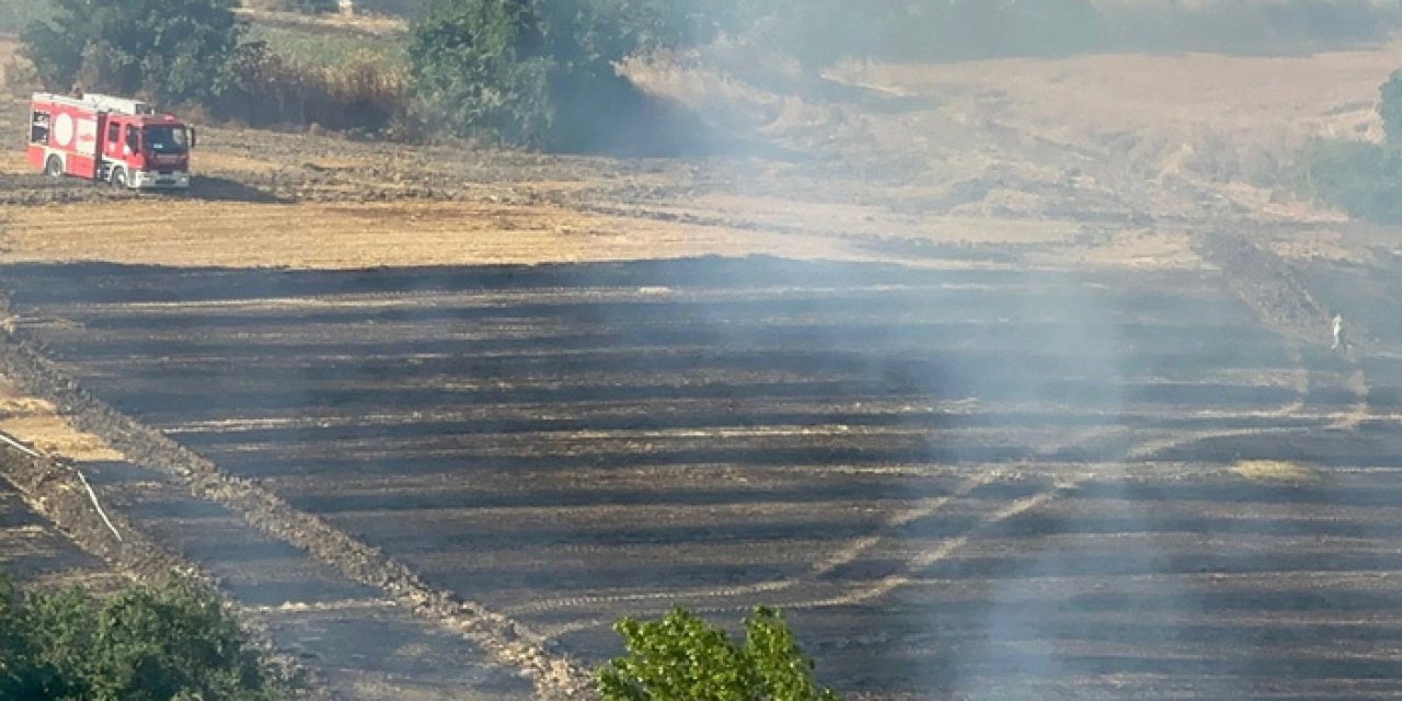 Tekirdağ'da acı görüntü: 200 dekar tarım alanı küle döndü