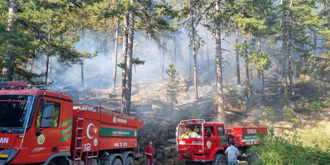 Aydın'da çıkan orman yangını 5 saatte söndürüldü