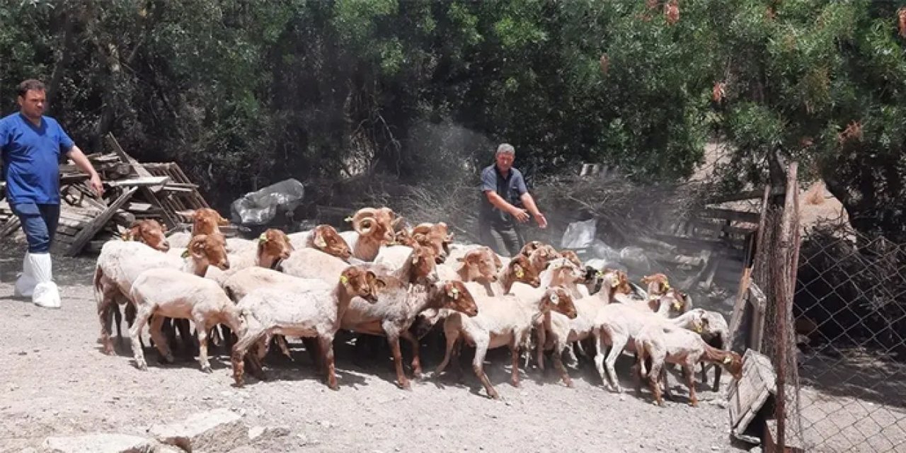 Protokol imzalandı: İzmirli üreticiye bir destek daha