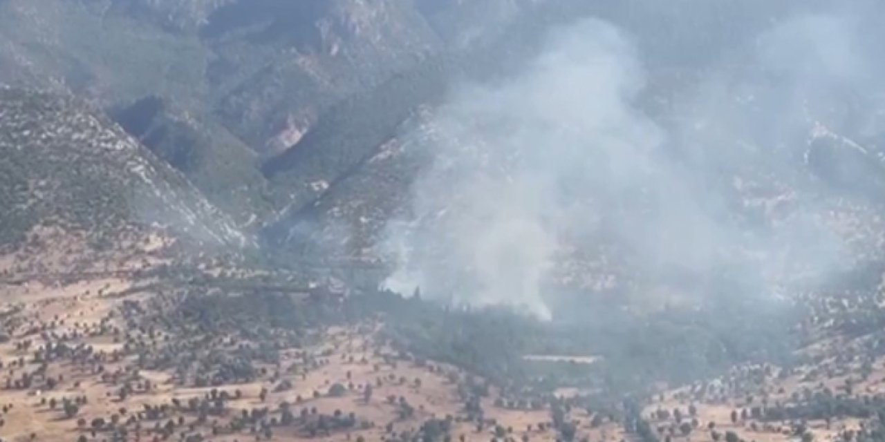 MSB duyurdu: Teröristler orman yangını çıkarıyor