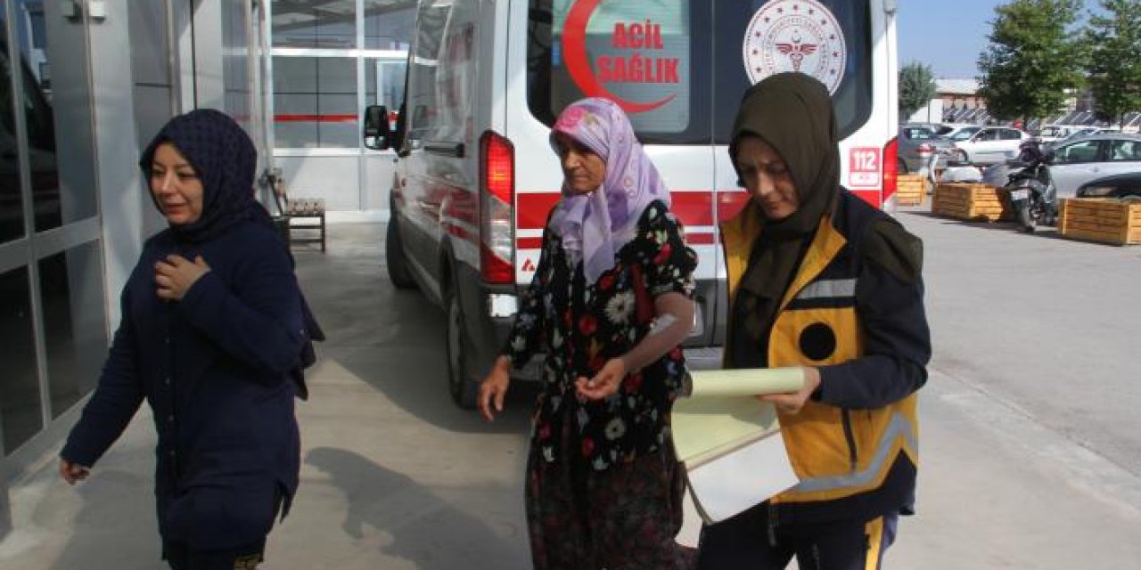 Konya'da köpek saldırısına uğrayan kadın yaralandı