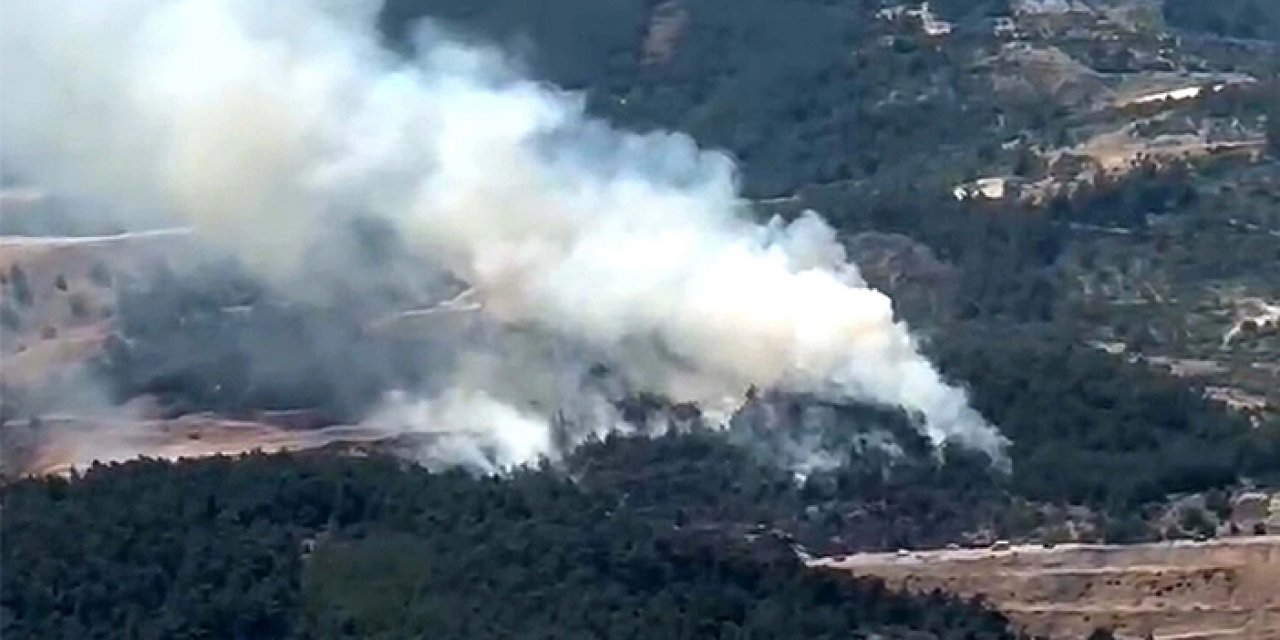 Manisa'da orman yangını