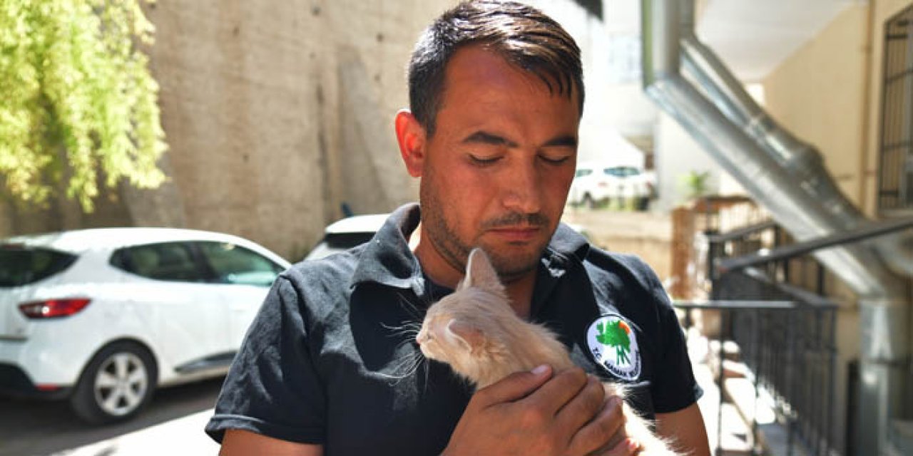 Mamak Belediyesi ekipleri yavru kediler için seferber old