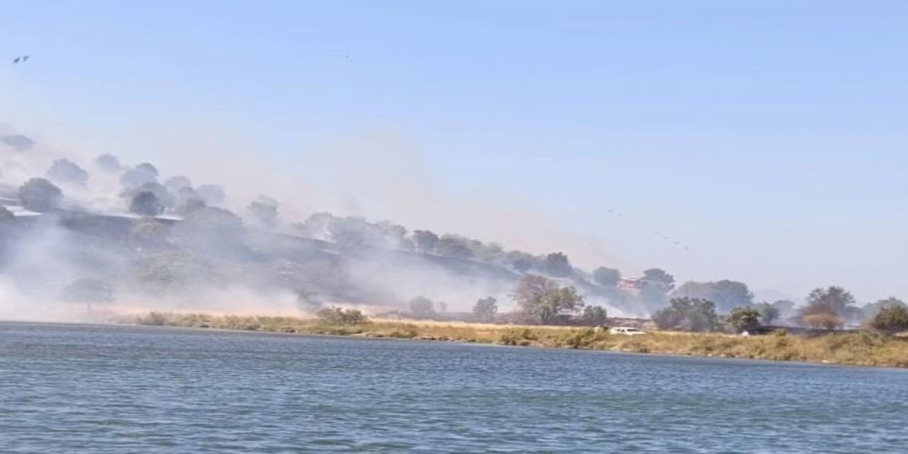 Aliağa'da orman yangını: Ekipler müdahale ediyor