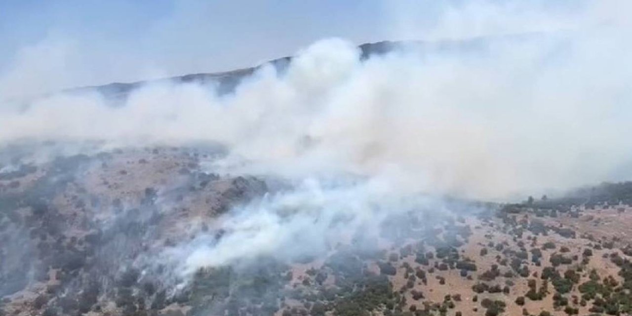 Manisa'da orman yangını