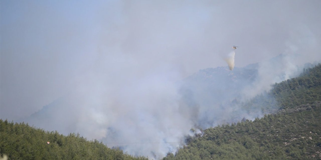 Bodrum'da orman yangını başladı