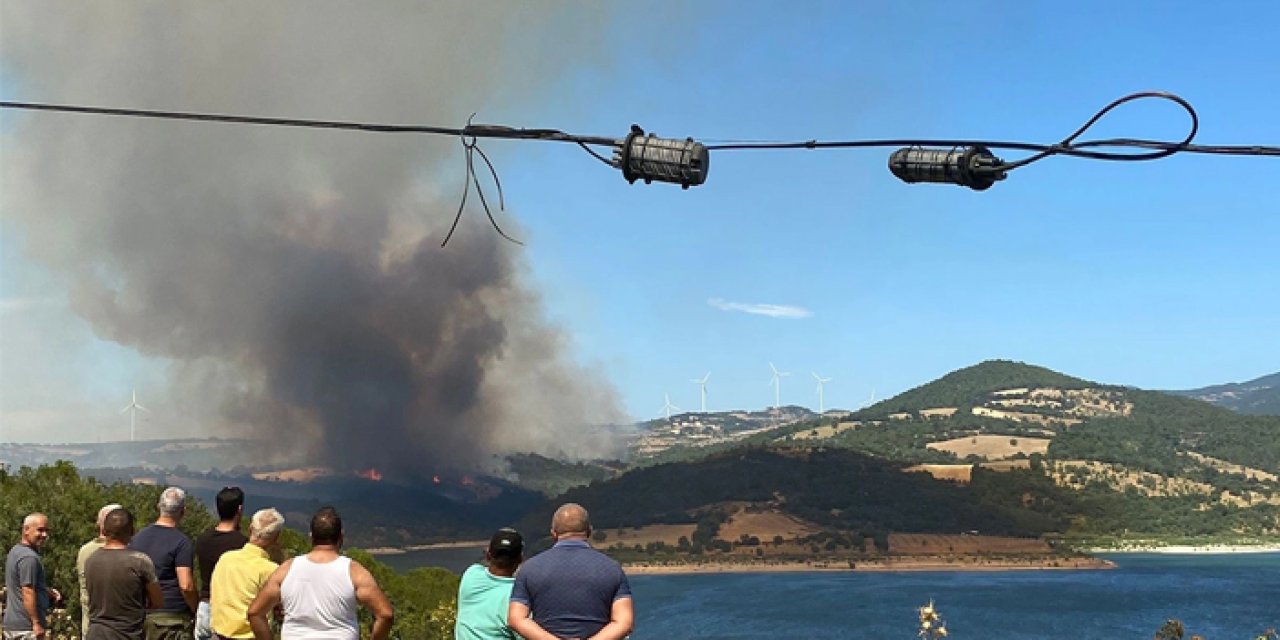 Çanakkale Bayramiç'te orman yangın