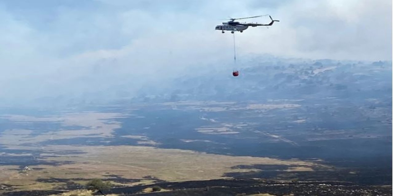 Tunceli'de orman yangını