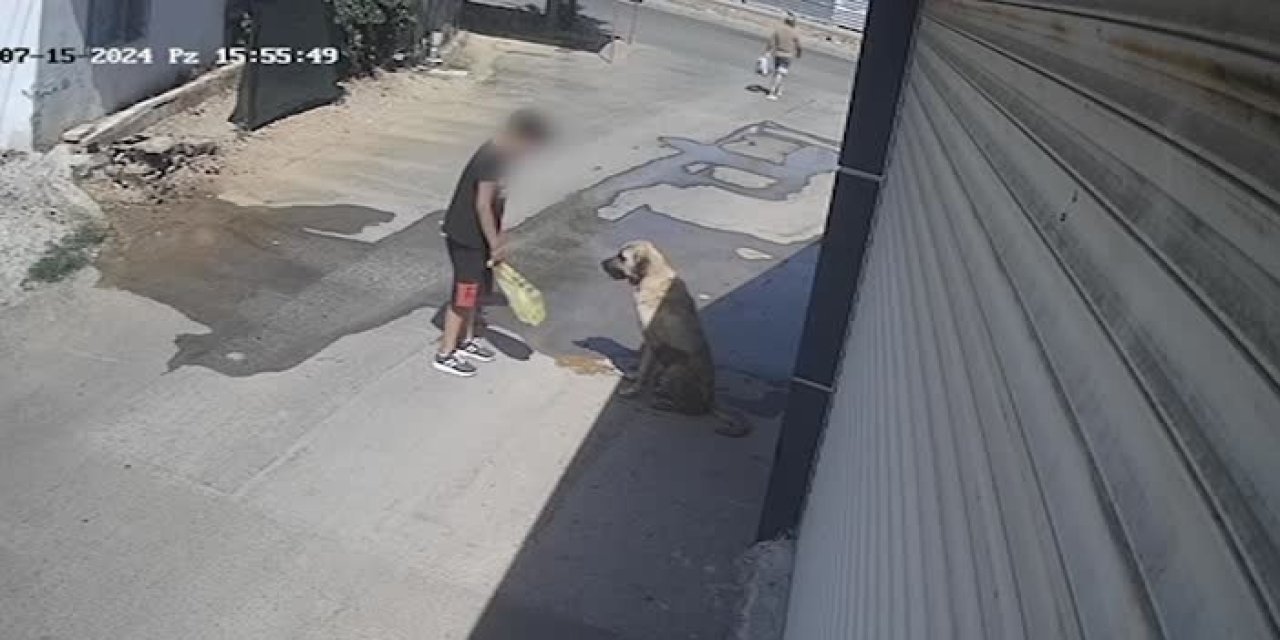 Küçük çocuk sokak köpeğinin saldırısına uğradı