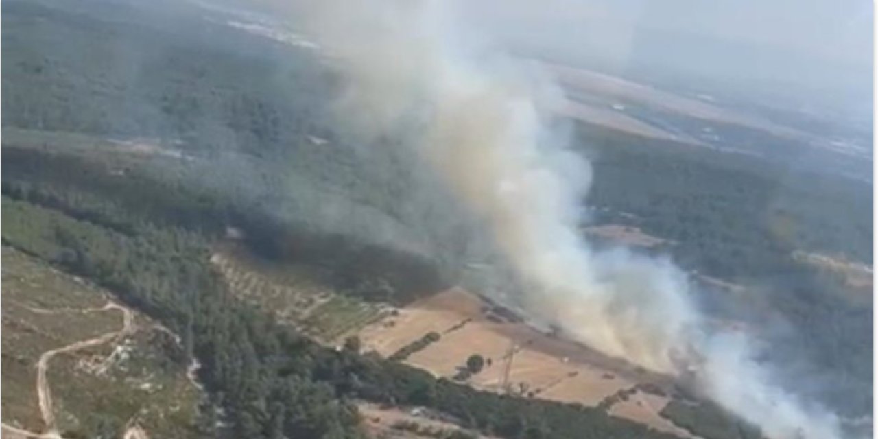 Trakya'da yangınlardan zarar gören alan arttı