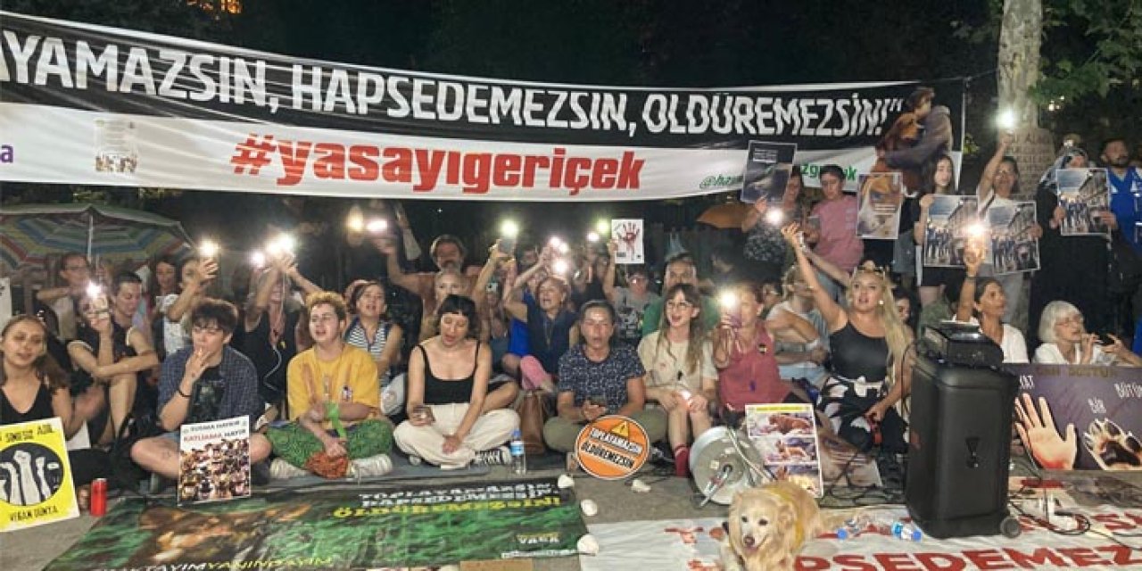 Ankara'da 'köpek' teklifine karşı protesto