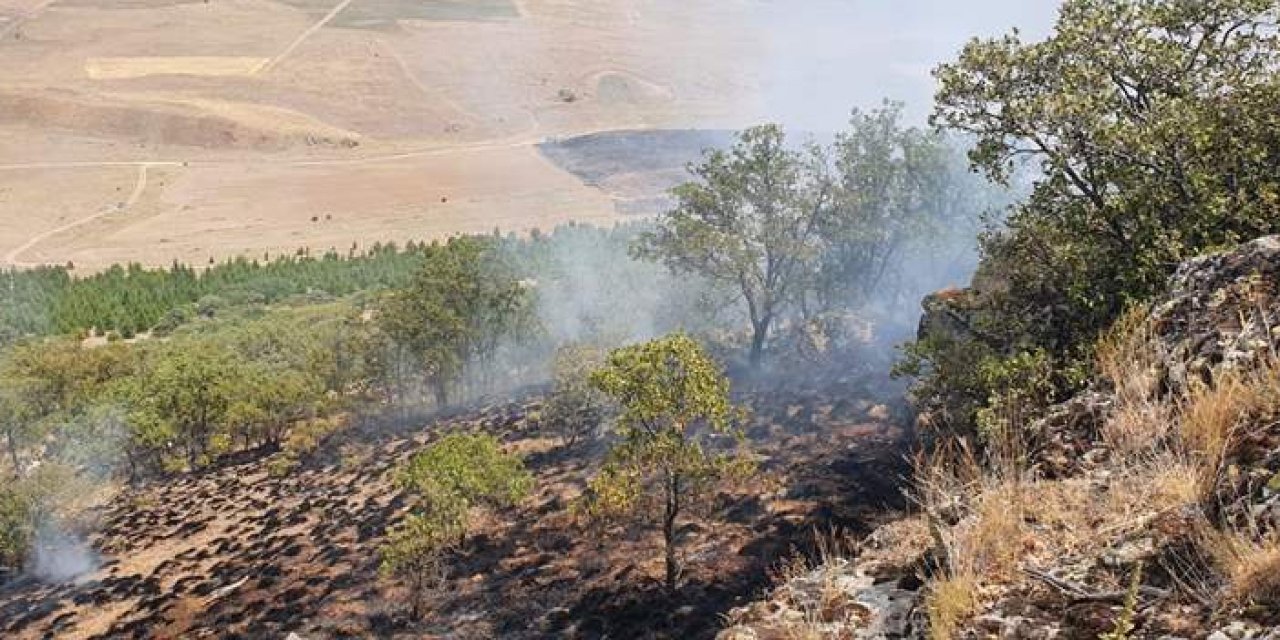 Anız yangını ormana sıçradı