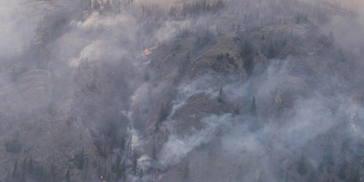 Kanada’da orman yangını sorunu: Gittikçe çoğalıyor