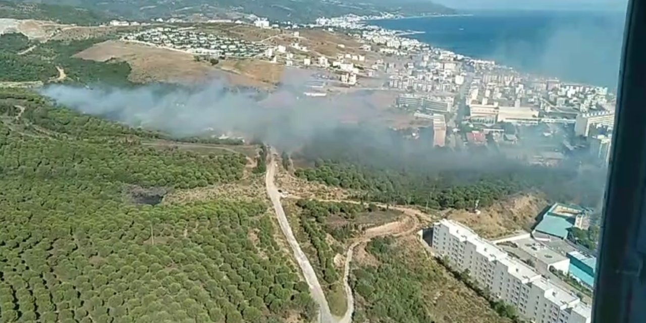 Yalova'da 2 ayrı noktada orman yangını