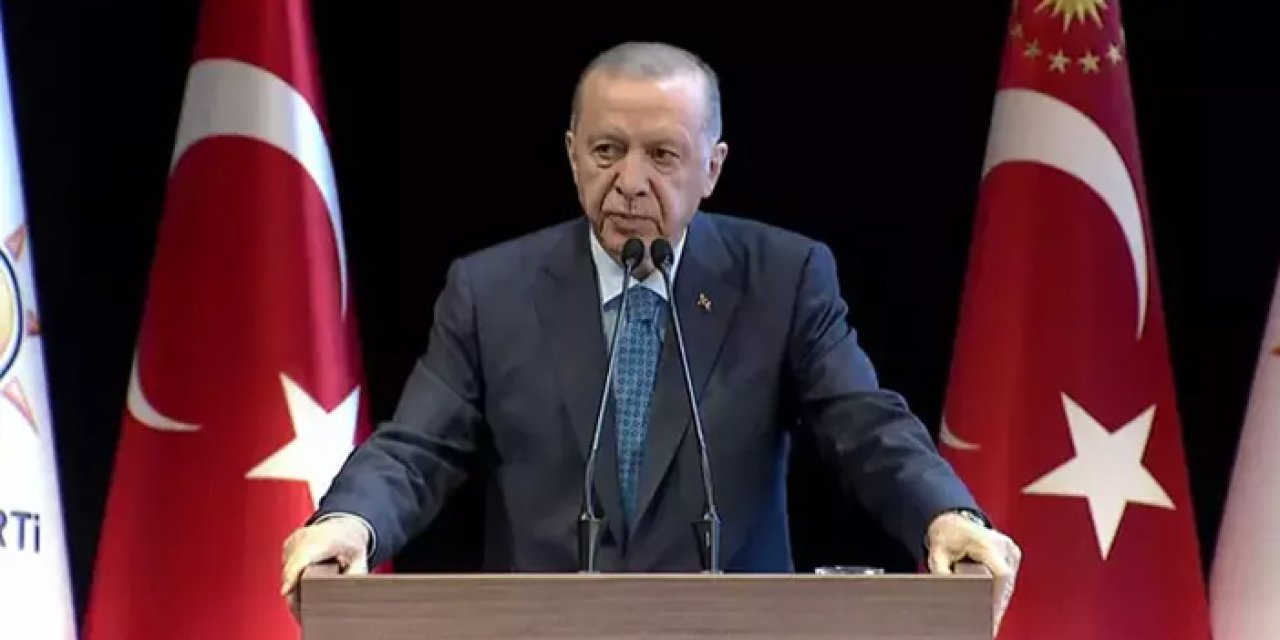 Cumhurbaşkanı Erdoğan'dan 'Mavi Vatan' tepkisi