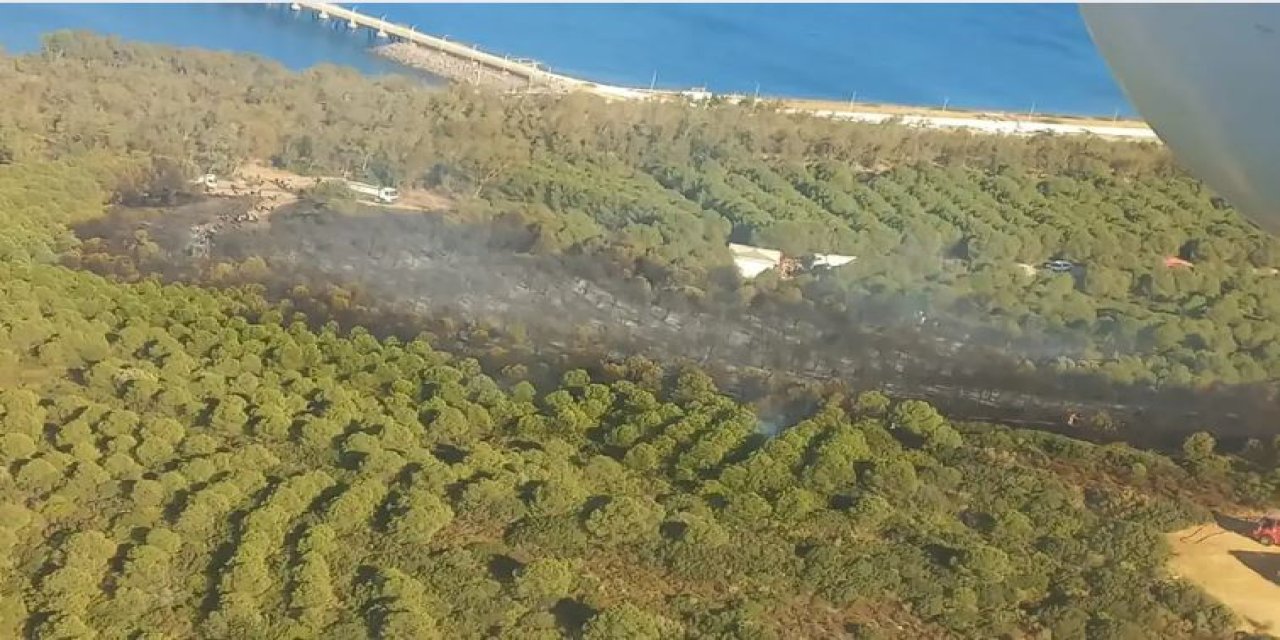 İzmir Aliağa'da orman yangını