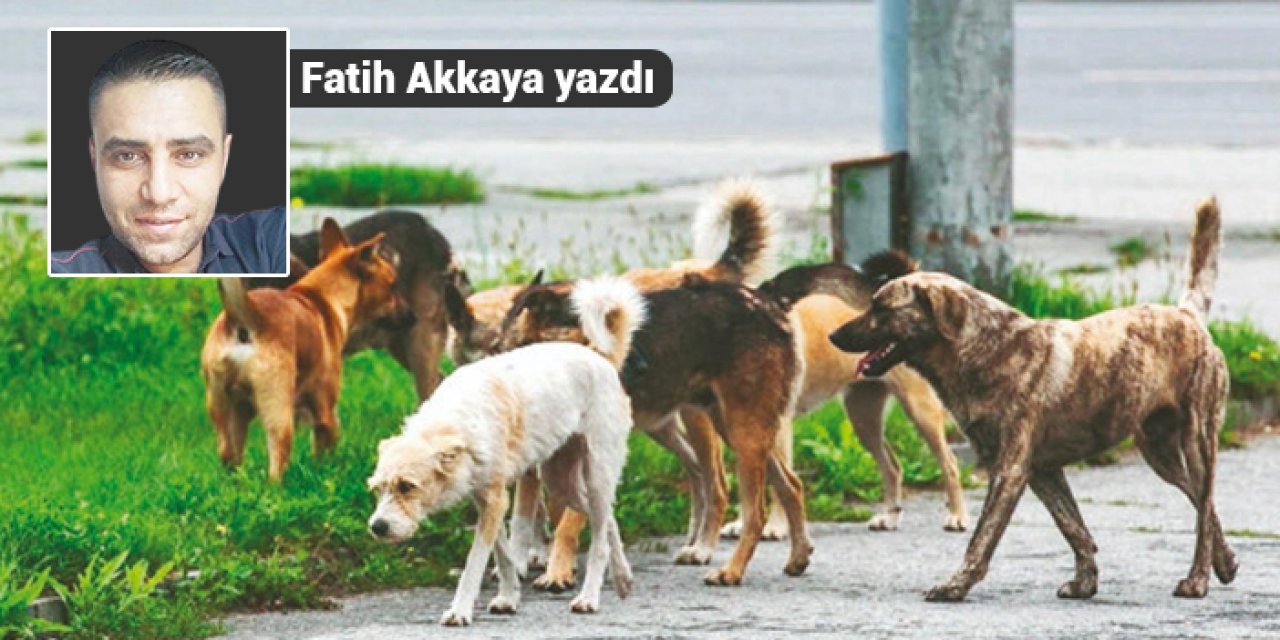 Fatih Akkaya yazdı: "Bu ne acizlik?"