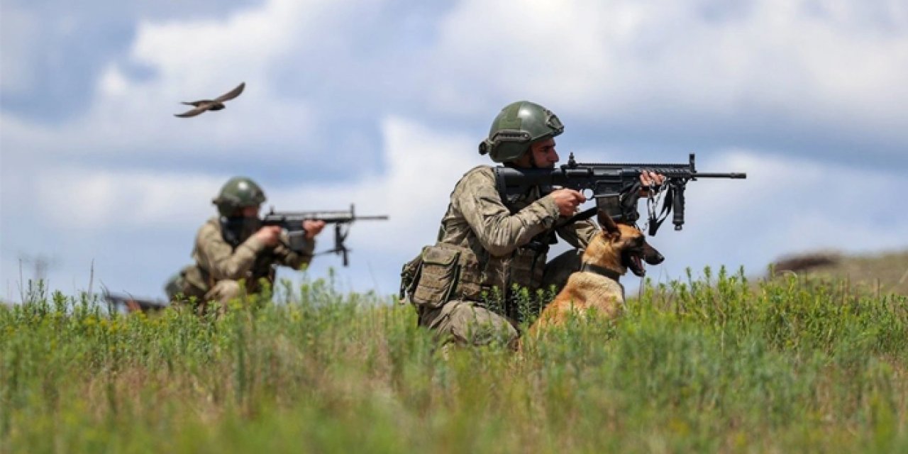 Irak'ın kuzeyinden kaçan 2 PKK'lı terörist teslim oldu