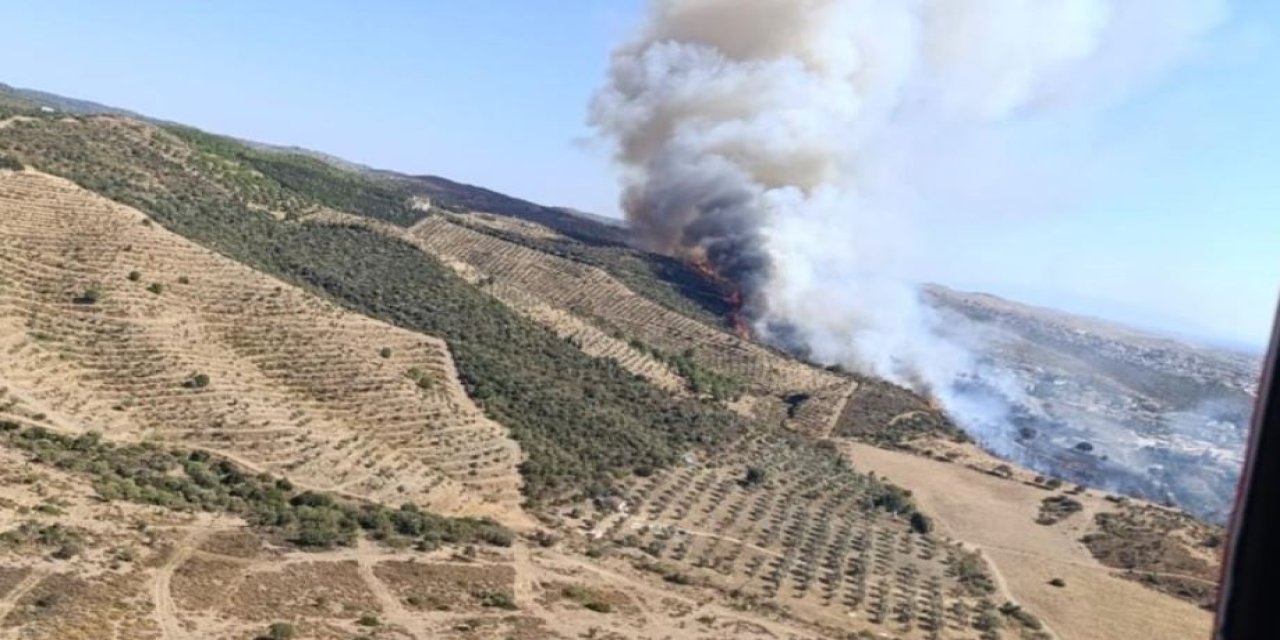 İzmir'de yangın: Havadan ve karadan müdahale sürüyor