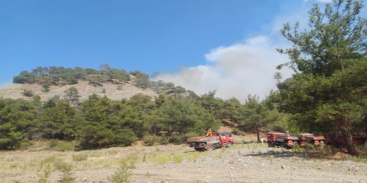 Manisa'da Orman Yangınına Havadan ve Karadan Müdahale Devam Ediyor