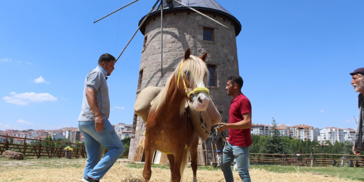 Ankara'da şehrin kaosundan bunalan vatandaşlar Altınköy'e sığınıyor