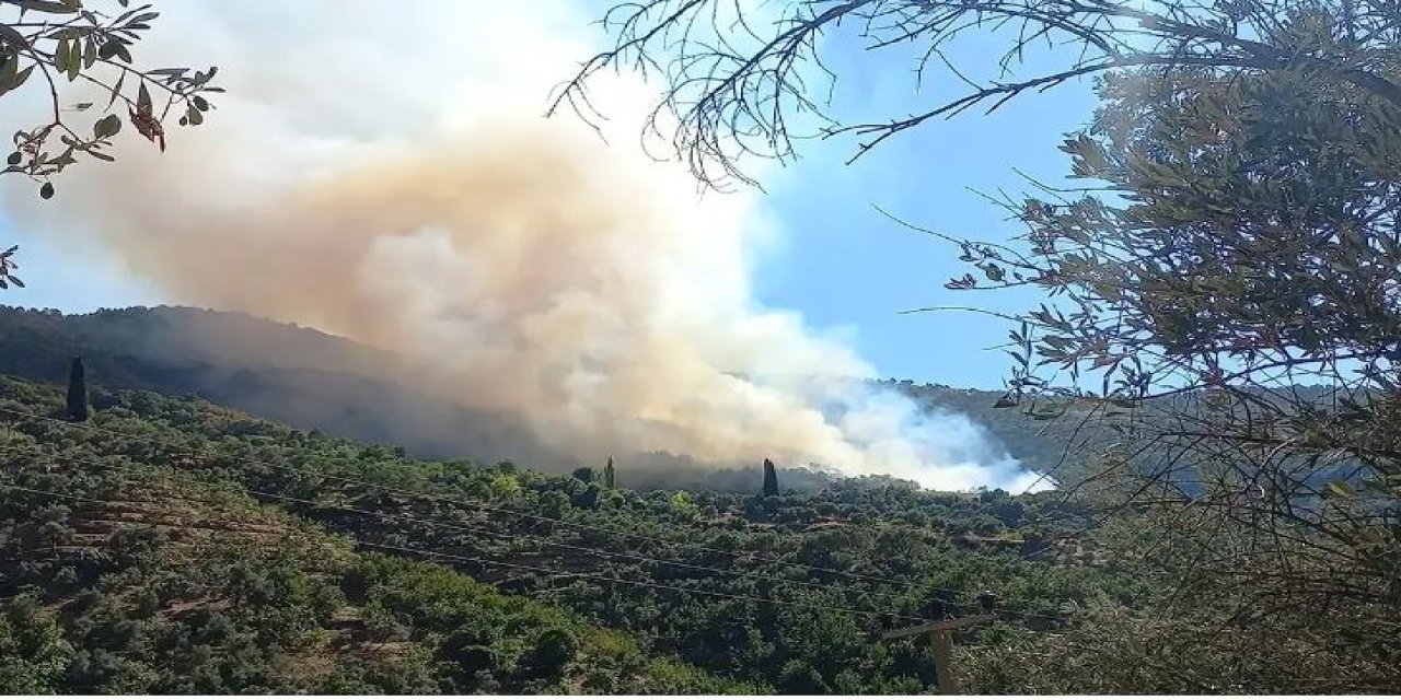 Muğla'daki yangın kontrol altına alındı