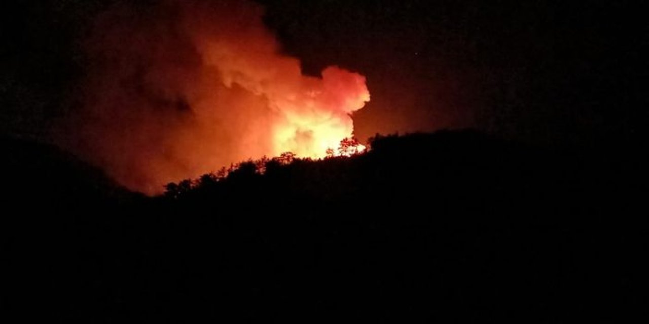 Bolu'da orman yangını sürüyor: Havadan müdahaleye ara verildi