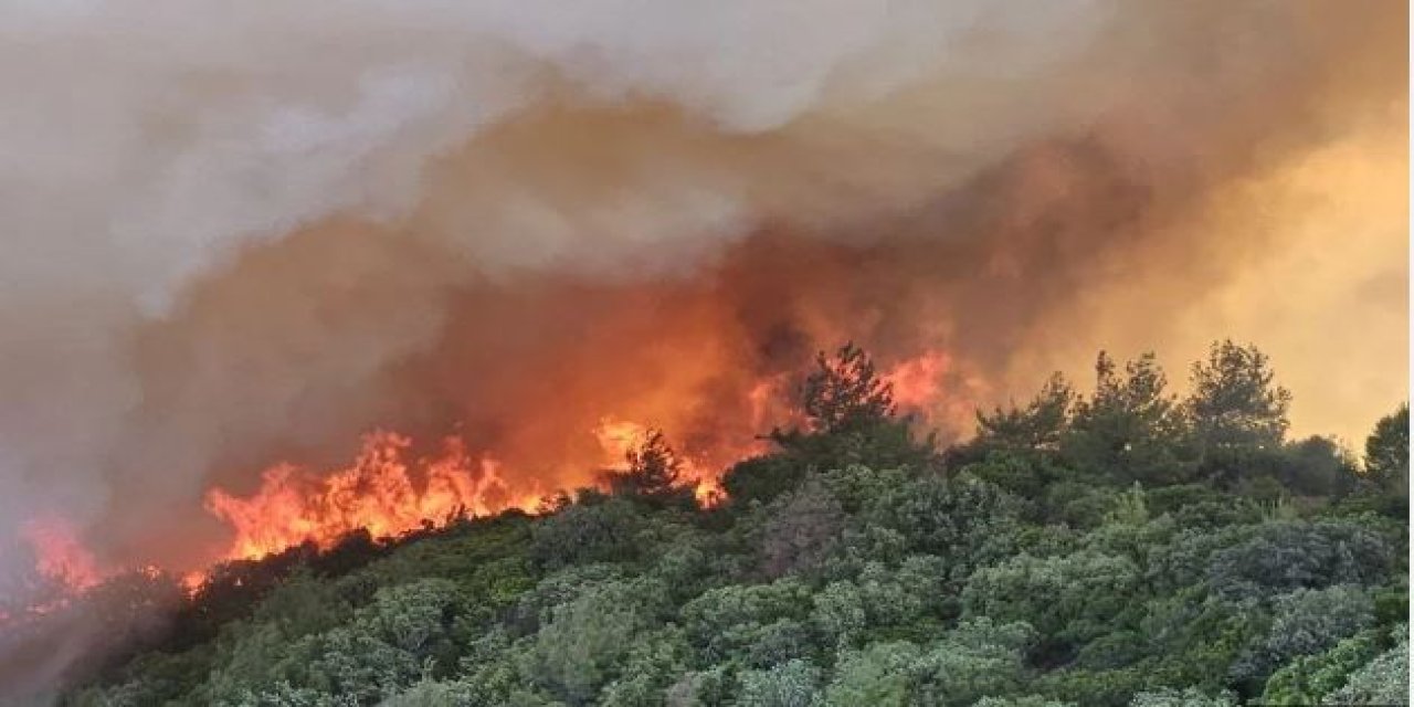 Makilik alanda çıkan yangınla ilgili 3 kişi tutuklandı