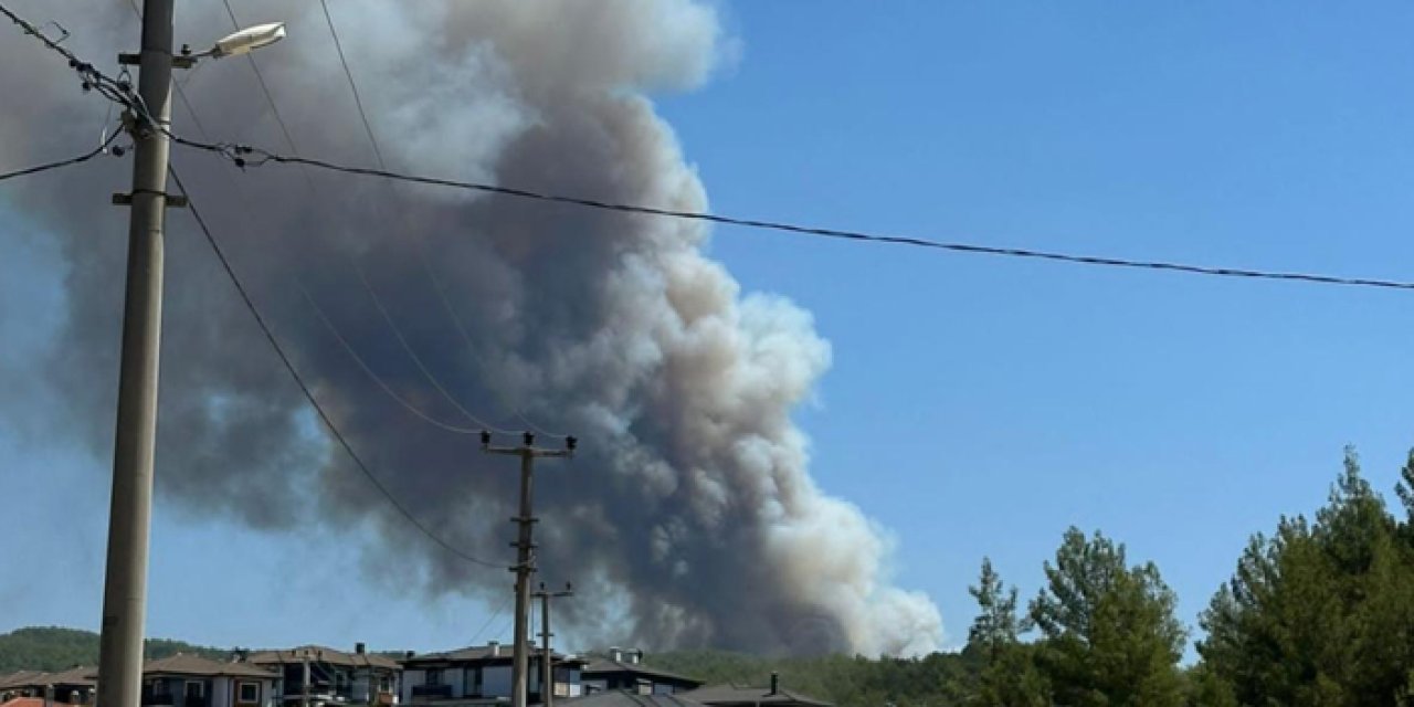 Bir yangın haberi de Muğla'dan: İki ayrı ilçede orman yangını