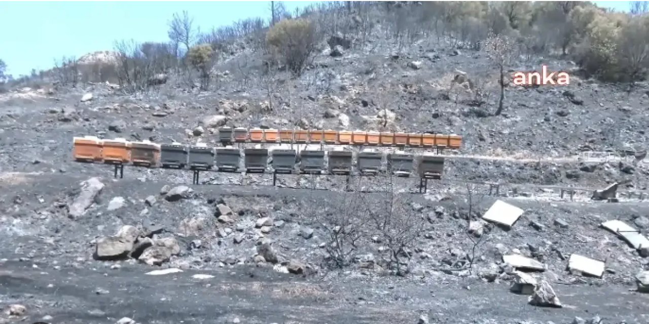 Karşıyaka'daki yangında Onlarca besi hayvanı can verdi