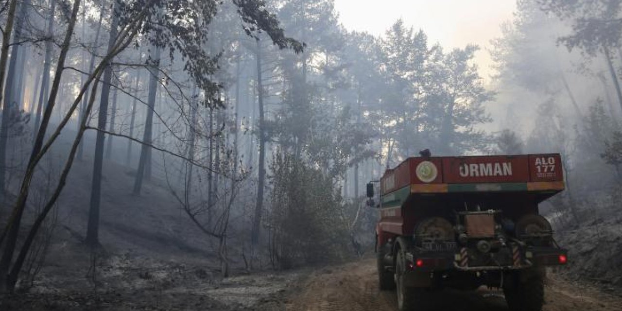 Muğla'daki orman yangınları kontrol altında