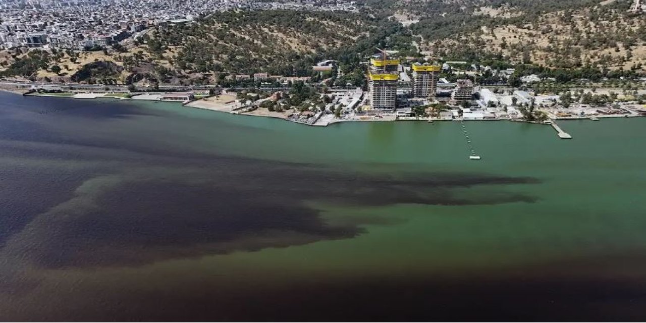 İzmir Büyükşehir açıkladı: Sahildeki balık ölümleri ve kokunun nedeni ne?