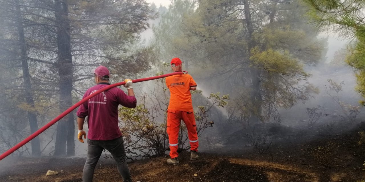 Kahramanmaraş'ta orman yangını devam ediyor