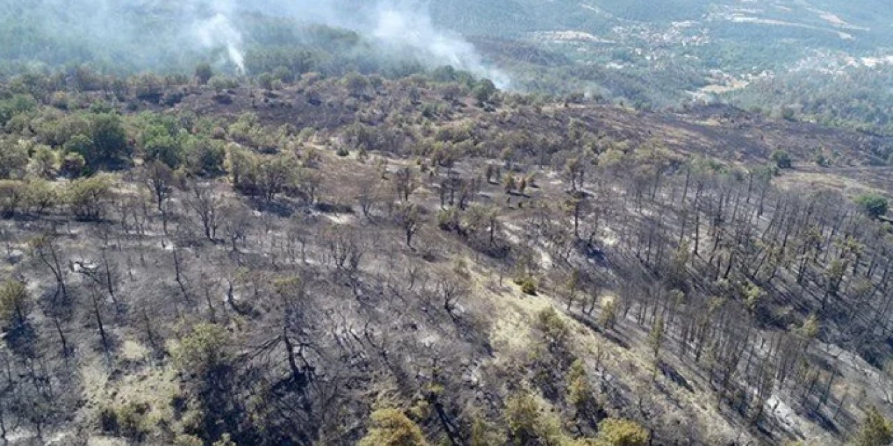 Orman yangınlarından etkilenen 441 kişiye psikososyal destek